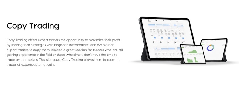 Maximize Earnings with INGOT Brokers’ Copy Trading Platform
